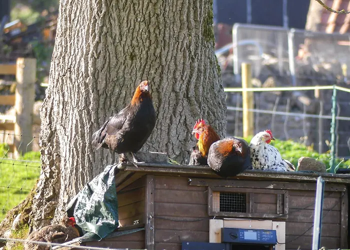 別荘 St Michael's *